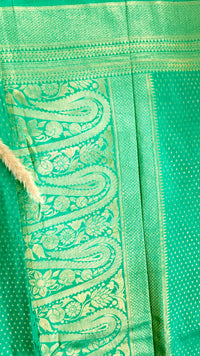 Premium Semi Banarasi Georgette Saree (Saree Code-49)